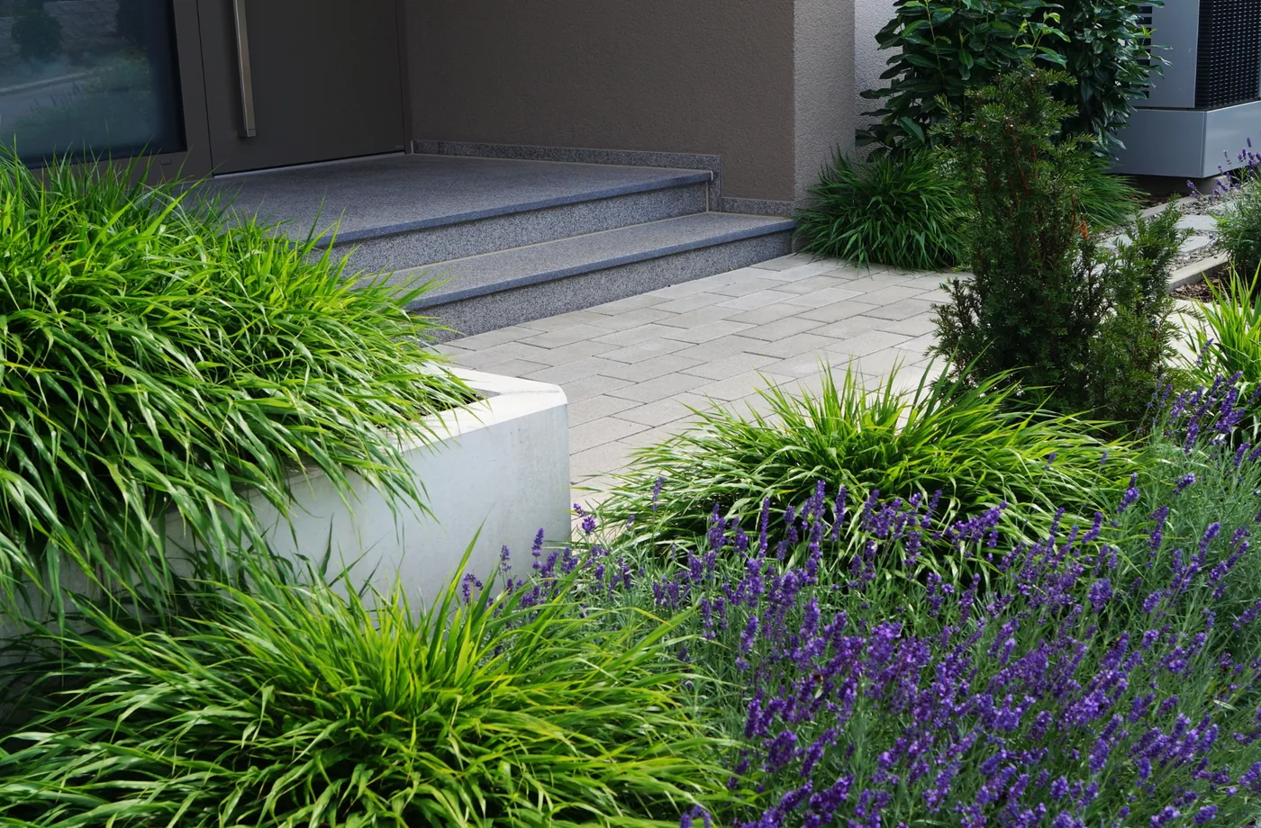 Geplanter Eingangsbereich mit Naturstein und Staudenpflanzung