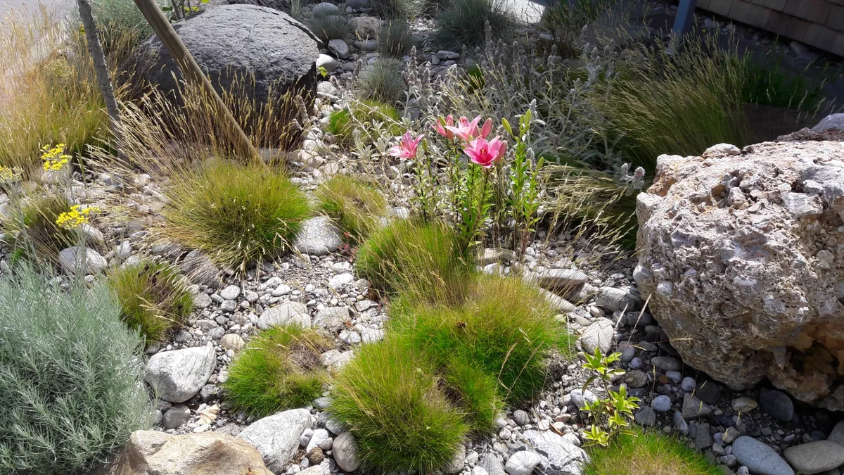 Detail einer gepflasterten Gartenfläche mit Bepflanzung
